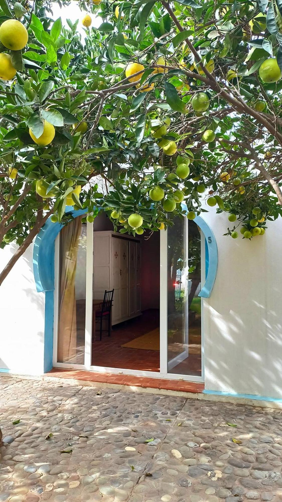 Rayani Maison d'Hôtes Chozas Extérieur photo